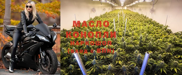 крисы Абдулино