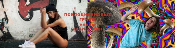 крисы Абдулино